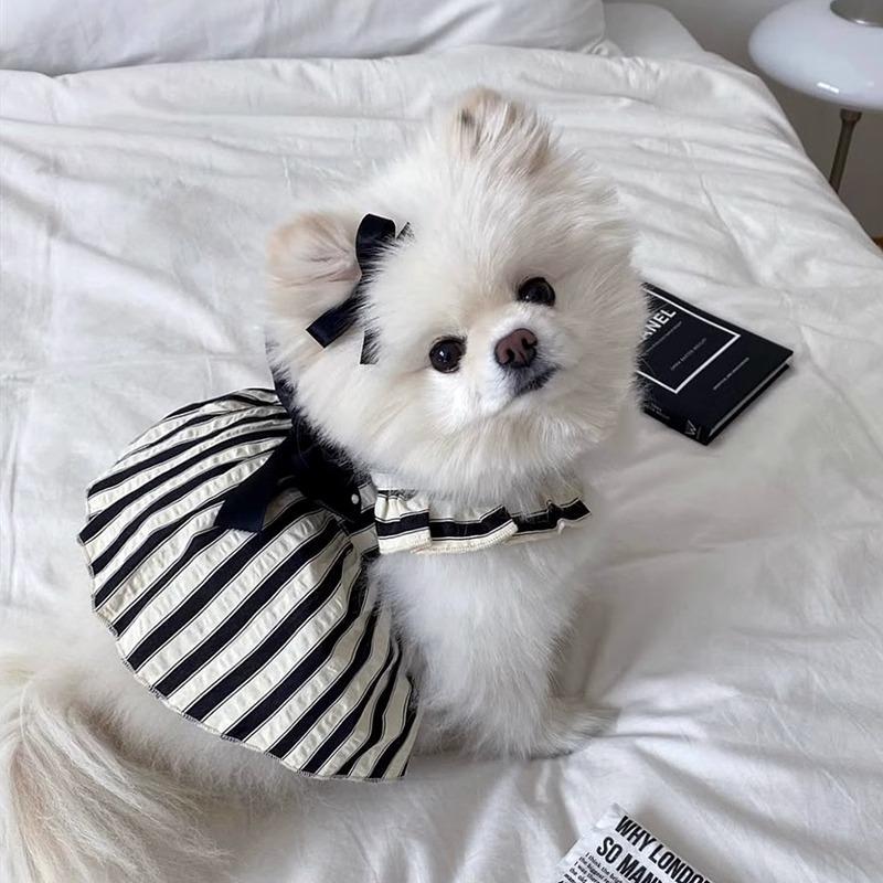 https://fulmo-img-server.com/perry-dog/9f446db1-106d-4434-9f89-4fff522e4512.jpg