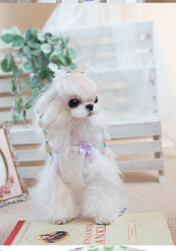 犬服 花咲く庭園 プリンセスワンピース