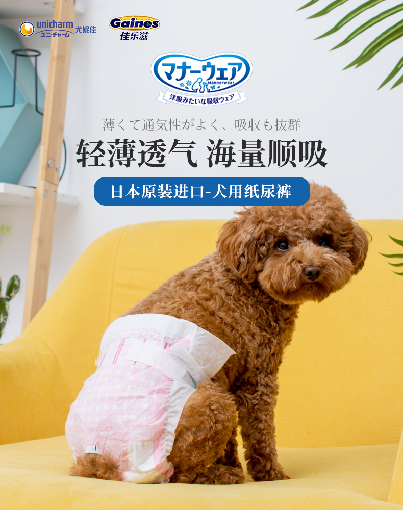 犬服 エラー