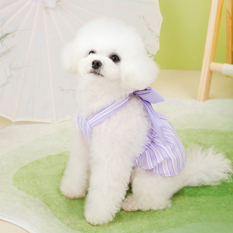 https://fulmo-img-server.com/perry-dog/a1e59b66-83f7-493c-bdbc-50a79a2a8085.jpg