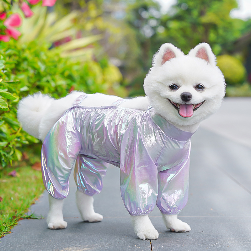 https://fulmo-img-server.com/perry-dog/a1e806a9-51ac-4b8e-808f-59b8cda6e319.jpg