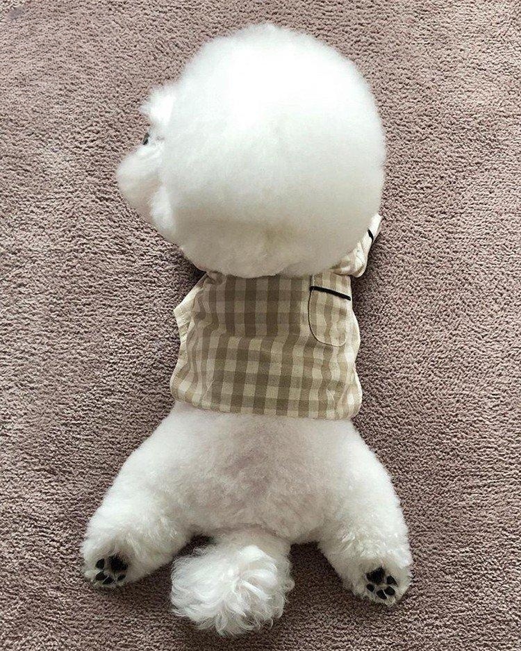 犬服 おやすみ格子模様パジャマ
