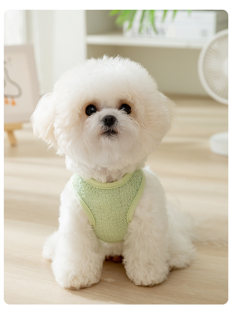 犬服 さわやか通気メッシュベスト