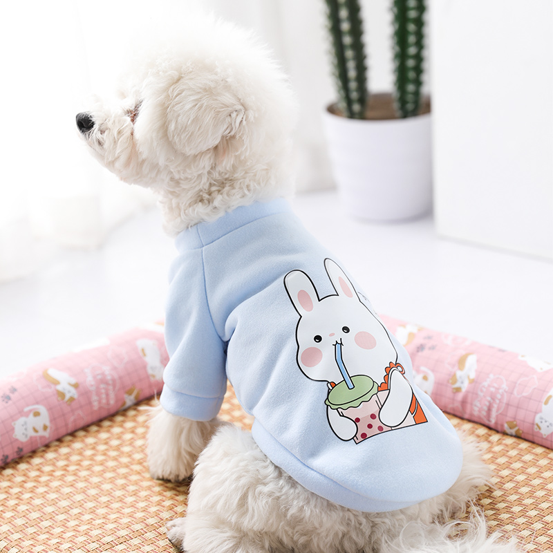 犬服 海の仲間と太陽プリント爽やか袖切替半袖