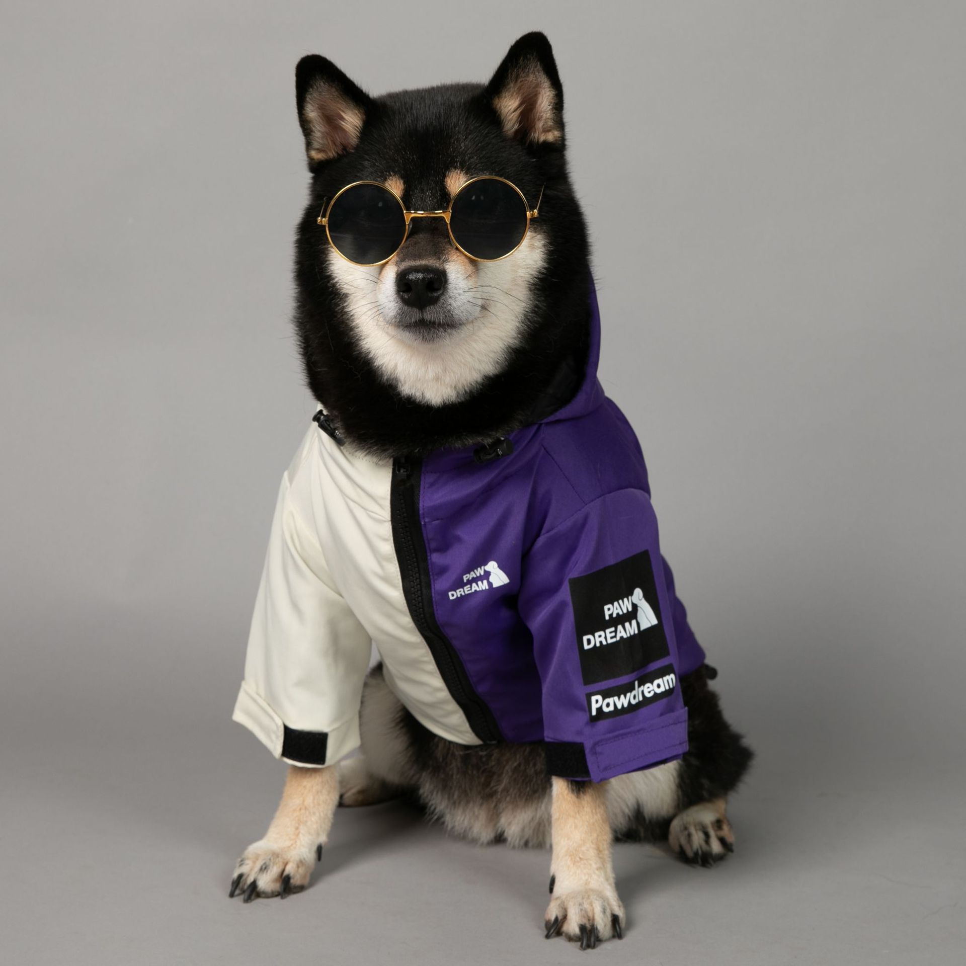 犬服 ツートーン切り替えフード付き犬用レインコート