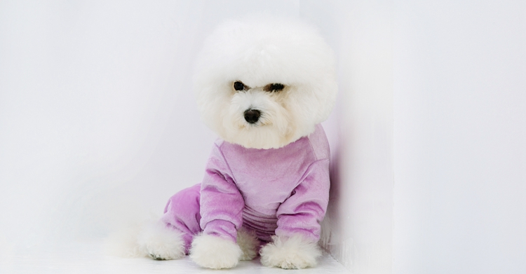 犬服 もこもこ素材のあったか全身つなぎ