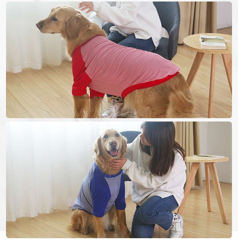 犬服  大型犬用爽やかストライプTシャツ