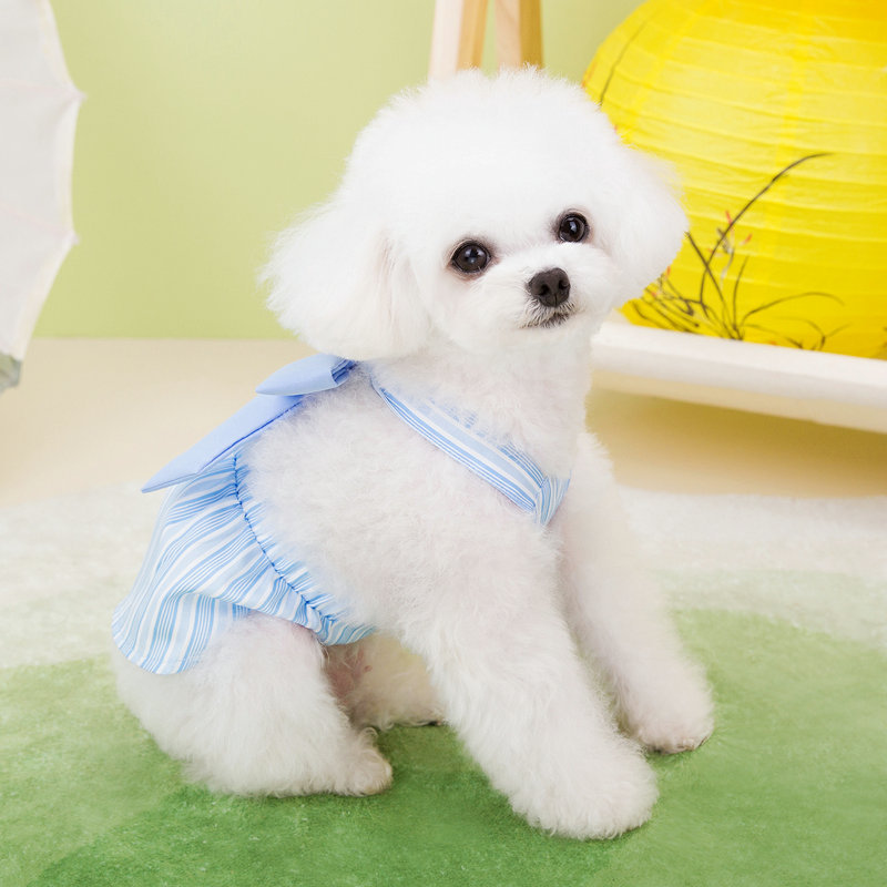 https://fulmo-img-server.com/perry-dog/a57014a2-78e0-448d-91d4-06be2ad9d1bb.jpg