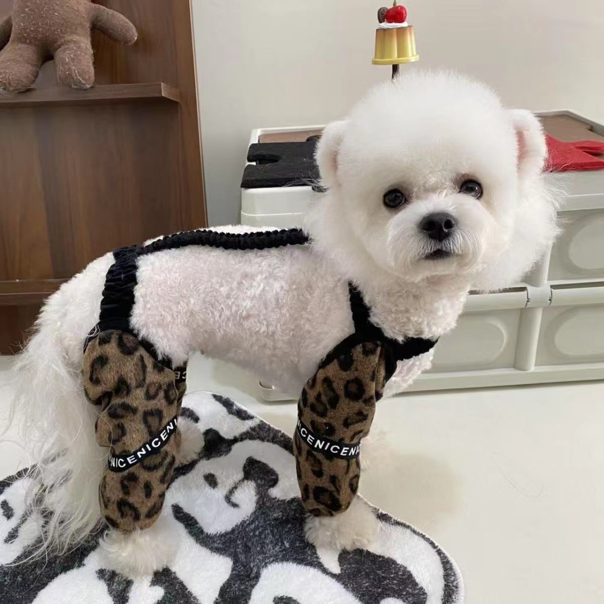 https://fulmo-img-server.com/perry-dog/a5854a08-158a-4818-a67d-776584401863.jpg