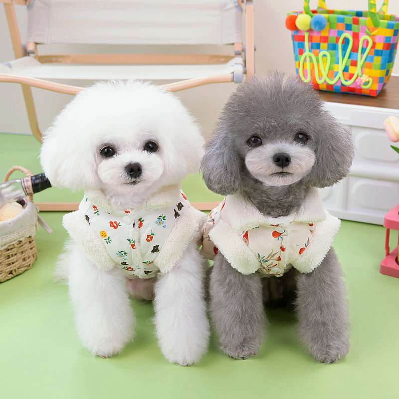 https://fulmo-img-server.com/perry-dog/a61f7752954449319bc9cf1b491ccddc.jpg