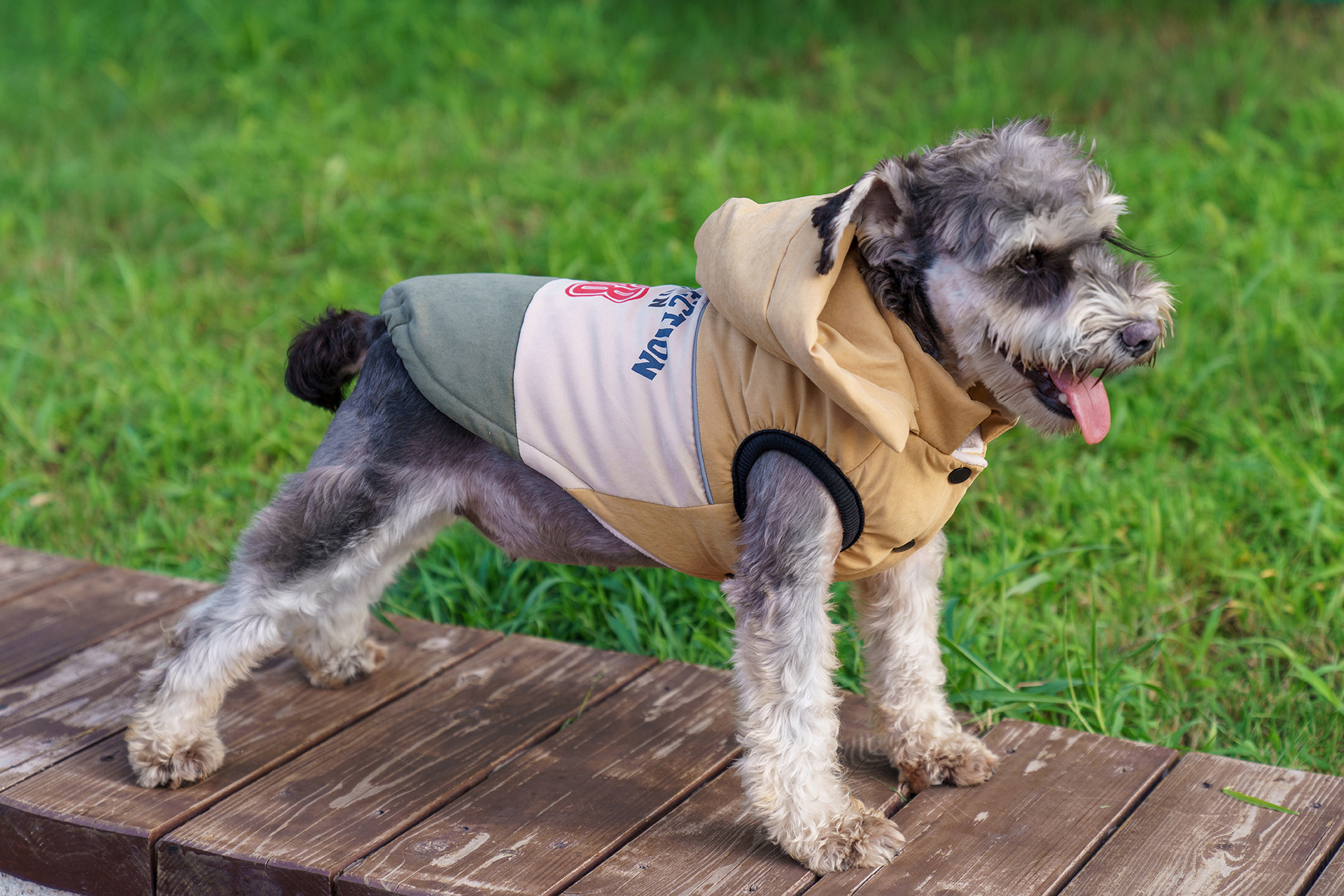 犬服 カレッジ風ナンバープリント配色パーカー