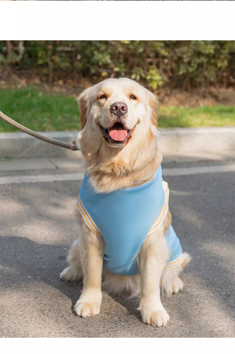 犬服 さわやかスポーツタンク
