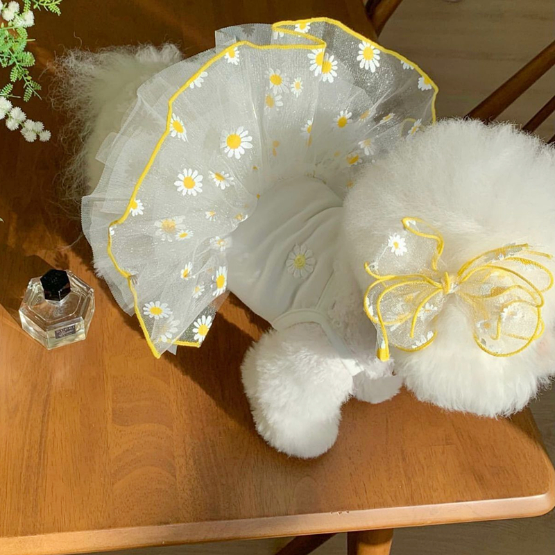 犬服 花畑の妖精チュチュドレス