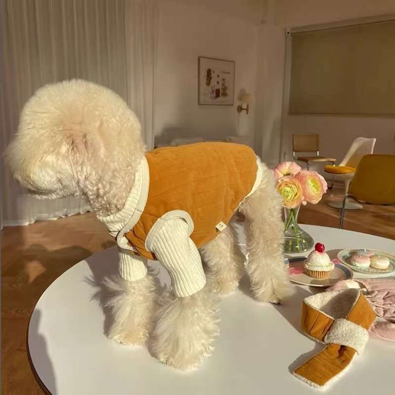 https://fulmo-img-server.com/perry-dog/a790b7fb3c1d410982ff7b301b449a1a.jpg