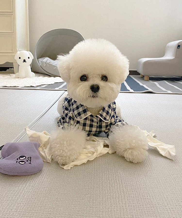 犬服 おやすみ格子模様パジャマ