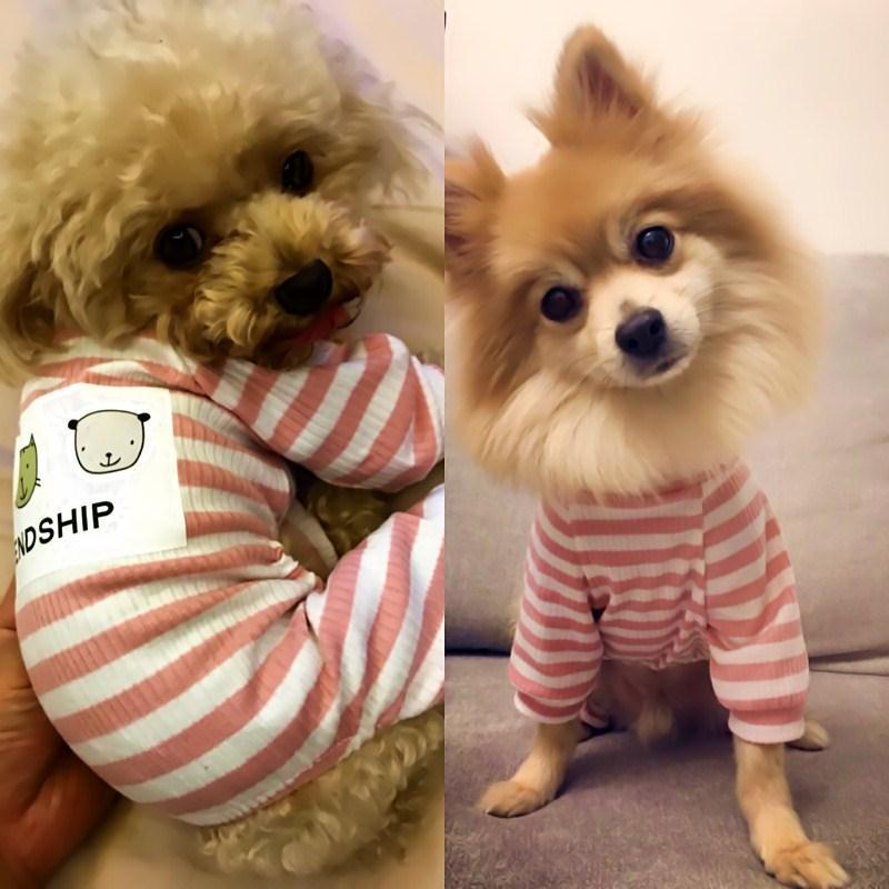 犬服 仲良し動物刺繍入りボーダー柄トレーナー