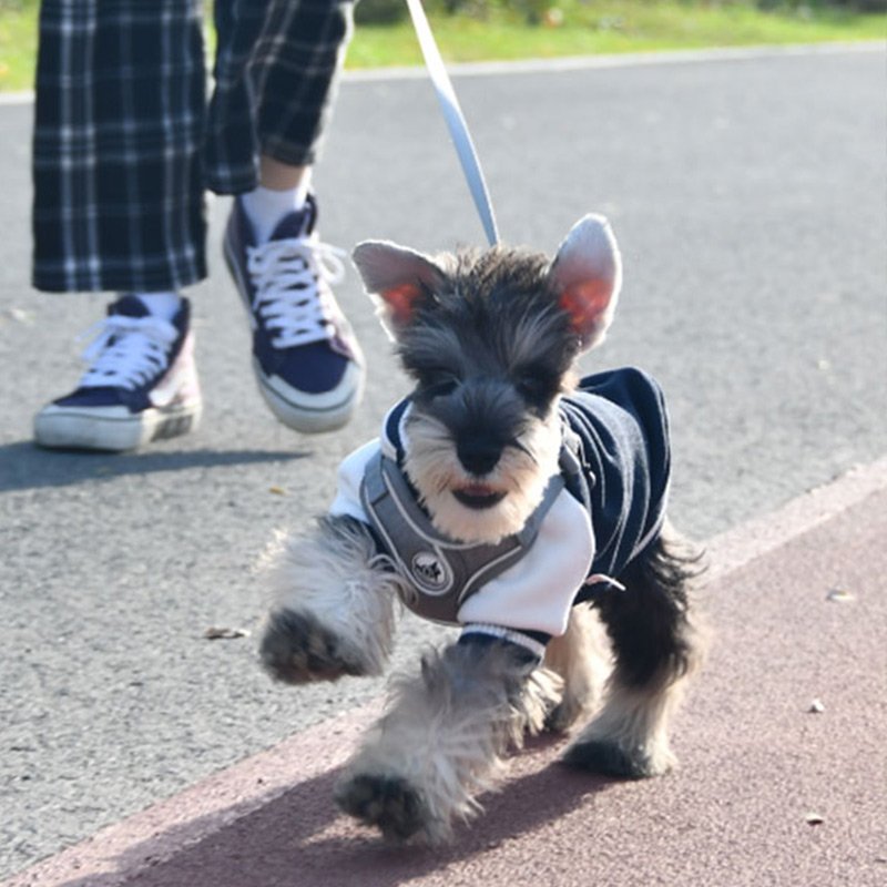 犬服 スポーティ学院風ジャンパー