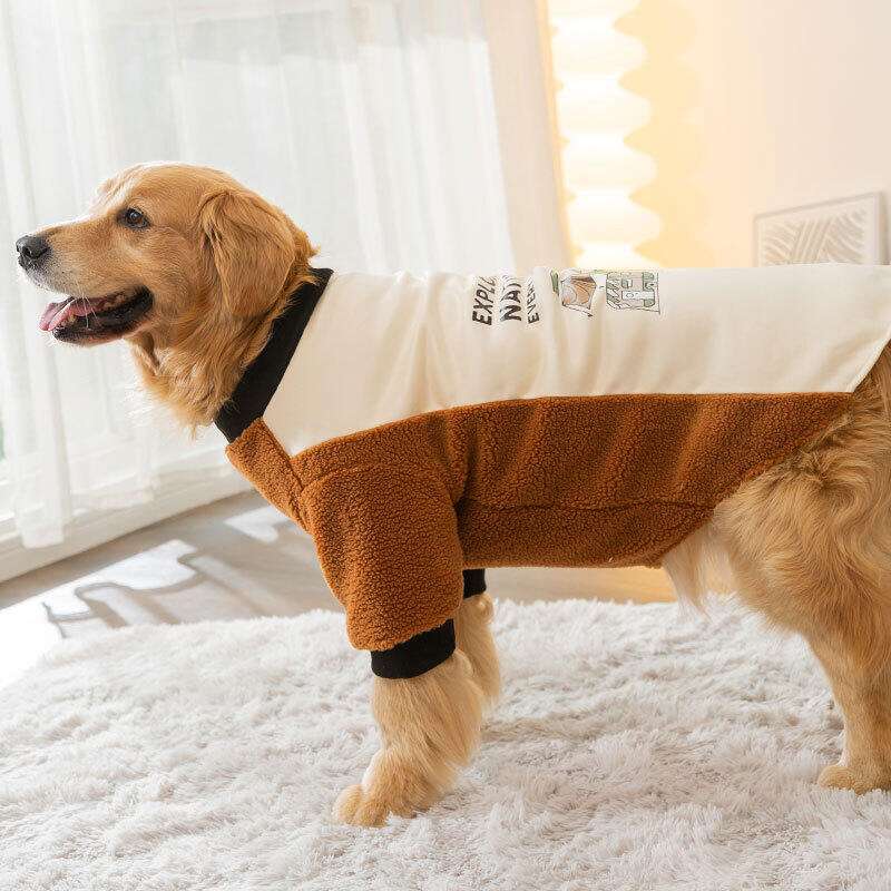 https://fulmo-img-server.com/perry-dog/aaa8b223dbf441a8bde23c8f29f41022.jpg