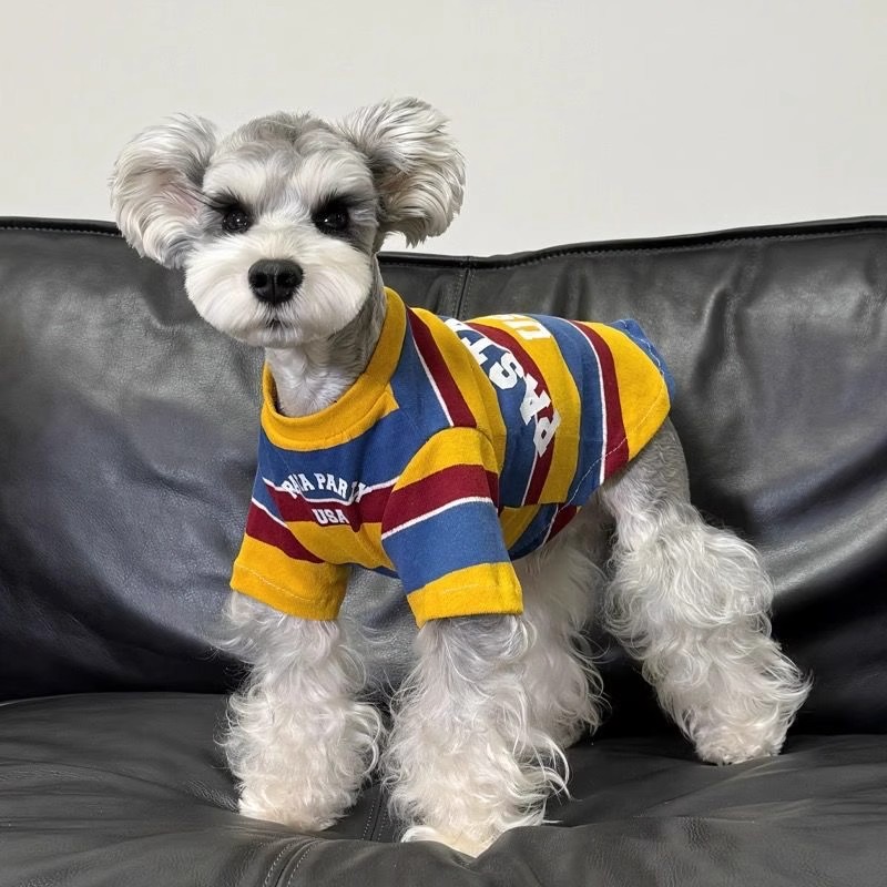 https://fulmo-img-server.com/perry-dog/ac3e4c53-9790-4613-8489-7b88582aa498.jpg