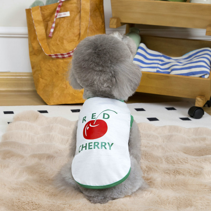 https://fulmo-img-server.com/perry-dog/accaf15d-e4af-4364-b0b1-f34235cc8ba9.jpg