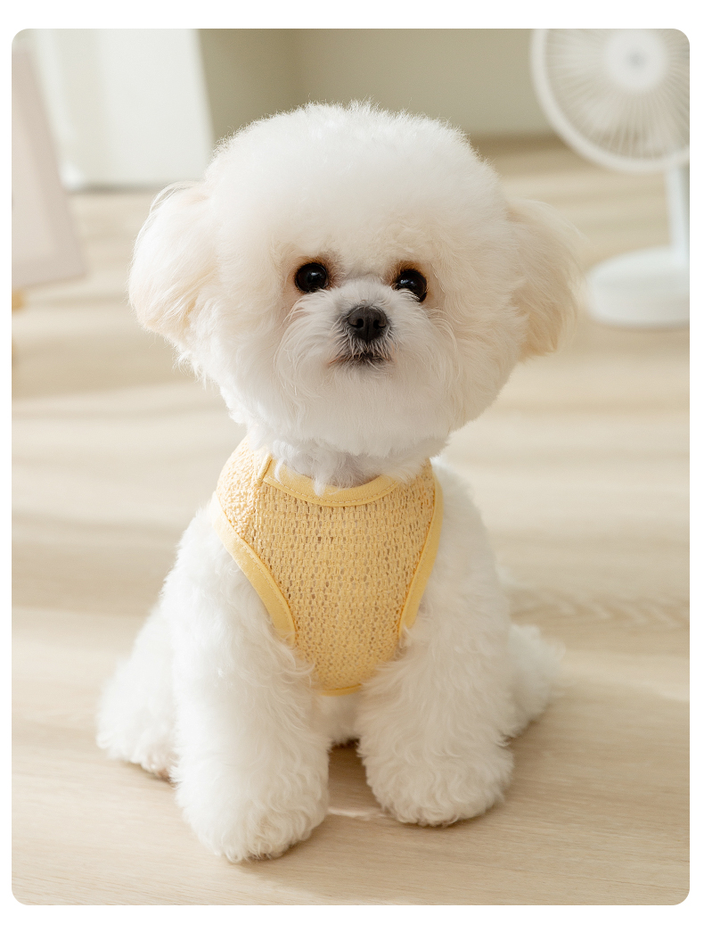 犬服 さわやか通気メッシュベスト