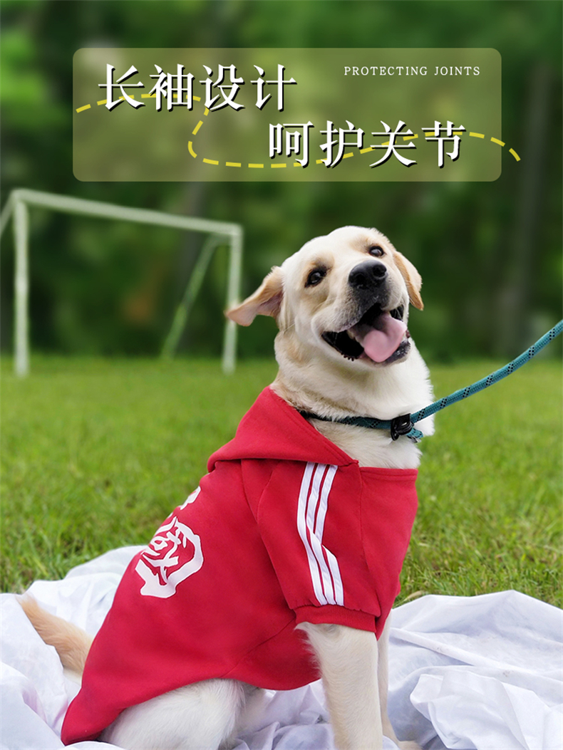 犬服 中国風漢字デザイン裏起毛パーカー