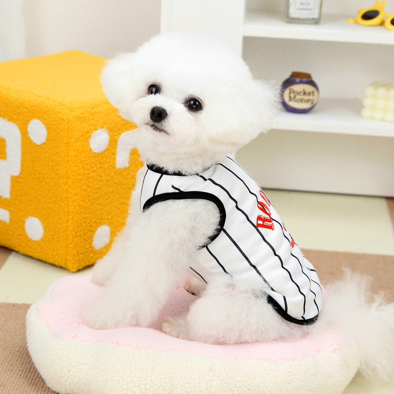 https://fulmo-img-server.com/perry-dog/adb2e408-1d02-450c-8726-2eb36a1fdcc9.jpg