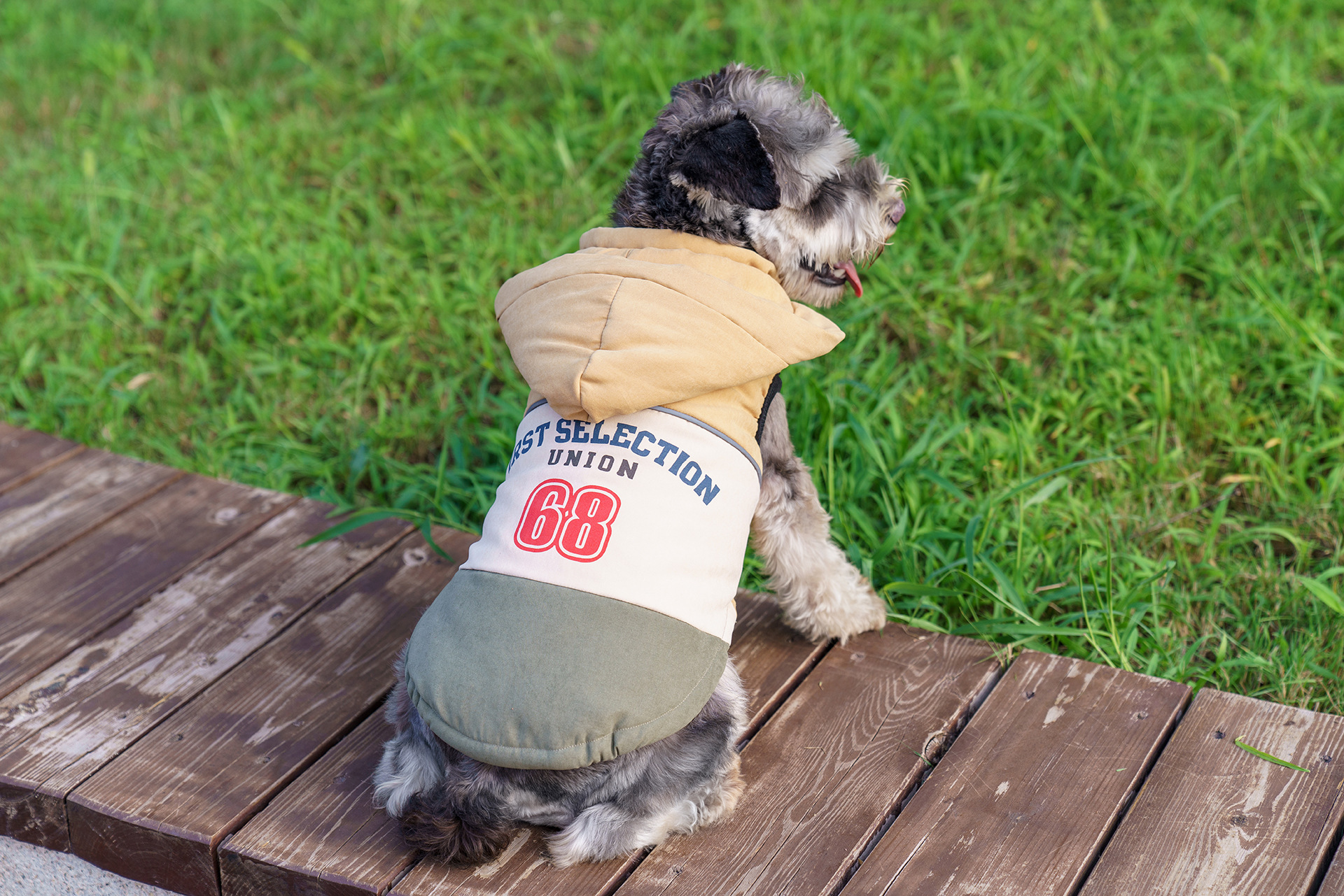 犬服 カレッジ風ナンバープリント配色パーカー