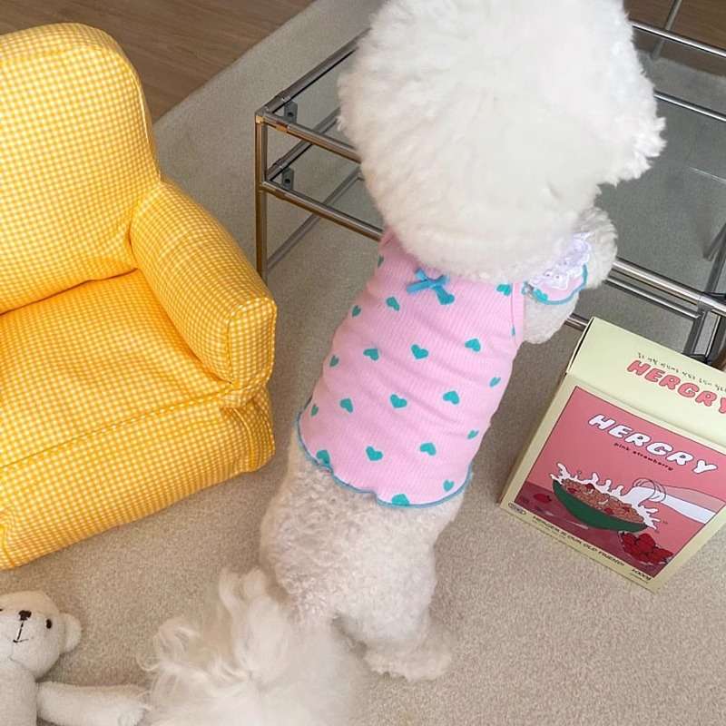 https://fulmo-img-server.com/perry-dog/ae463e349ba2478bb6303a4d2164fe0e.jpg