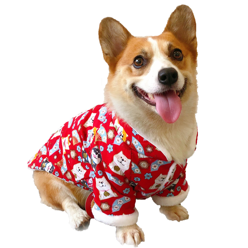 犬服 和風招き猫と富士山柄の中綿入りあったか防寒着