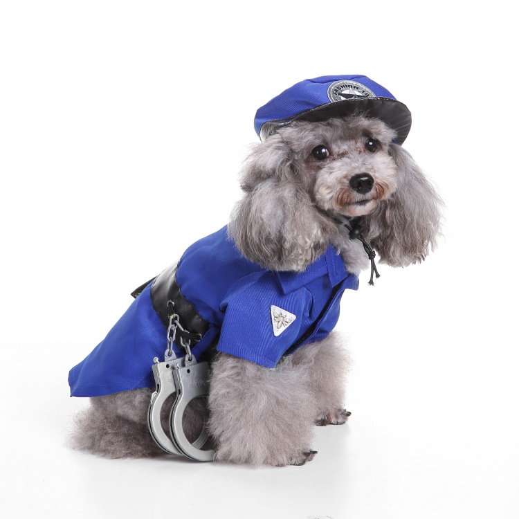 犬服  ドッグコスプレ 警官