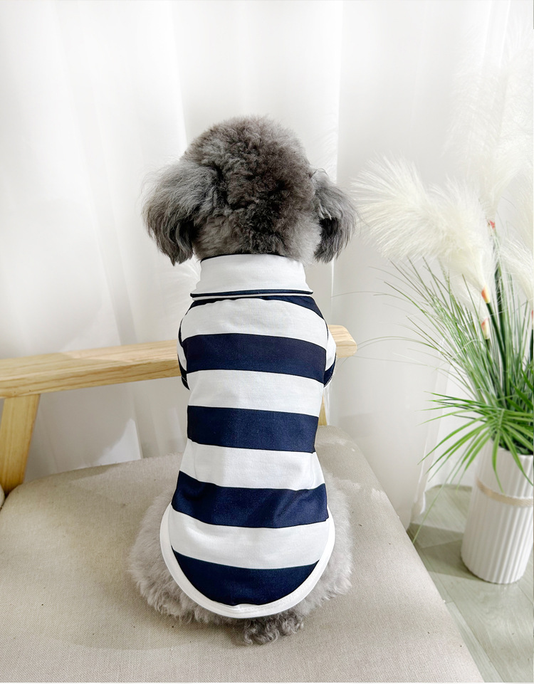 https://fulmo-img-server.com/perry-dog/af2f1f8e-d477-4fef-b626-477f741d7bd0.jpg