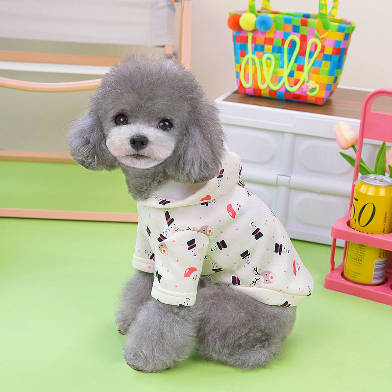 https://fulmo-img-server.com/perry-dog/af7e8a73-fbcb-4bfb-b661-ae31fb9cca94.jpg