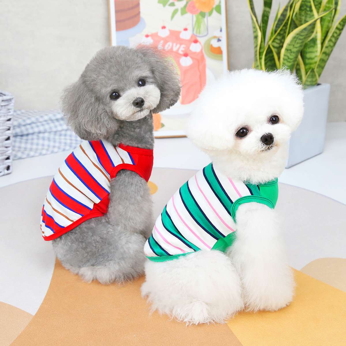 犬服 ふわもこわんちゃんのマリン風ボーダーシャツ