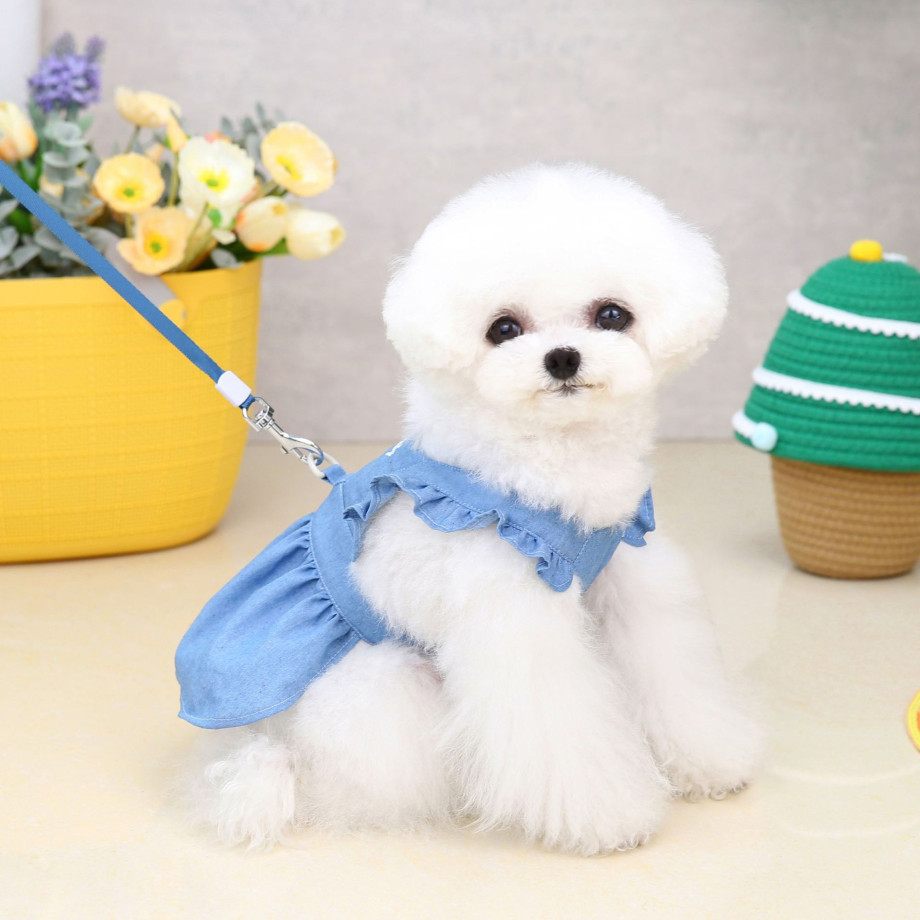 https://fulmo-img-server.com/perry-dog/b0893ac1-103f-4e14-af07-8ed2f493d7e4.jpg