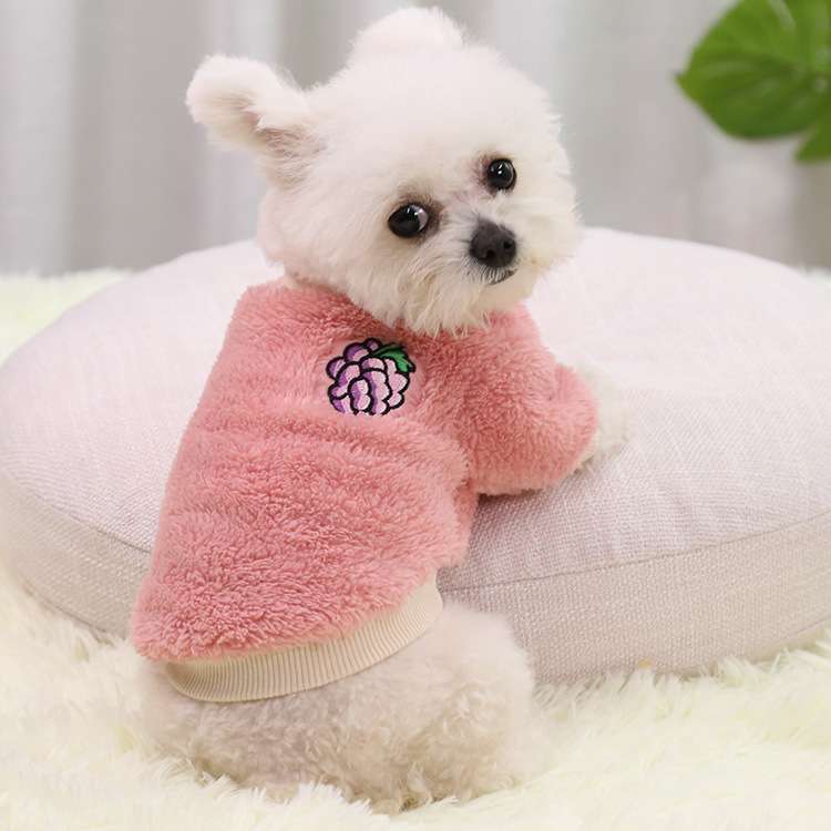 犬服  もこもこフルーツ刺繍入り犬用パーカー