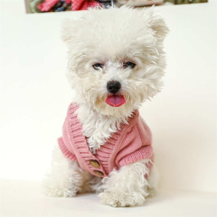https://fulmo-img-server.com/perry-dog/b1ce11a1-c3ff-4670-818e-3753931b616c.jpg