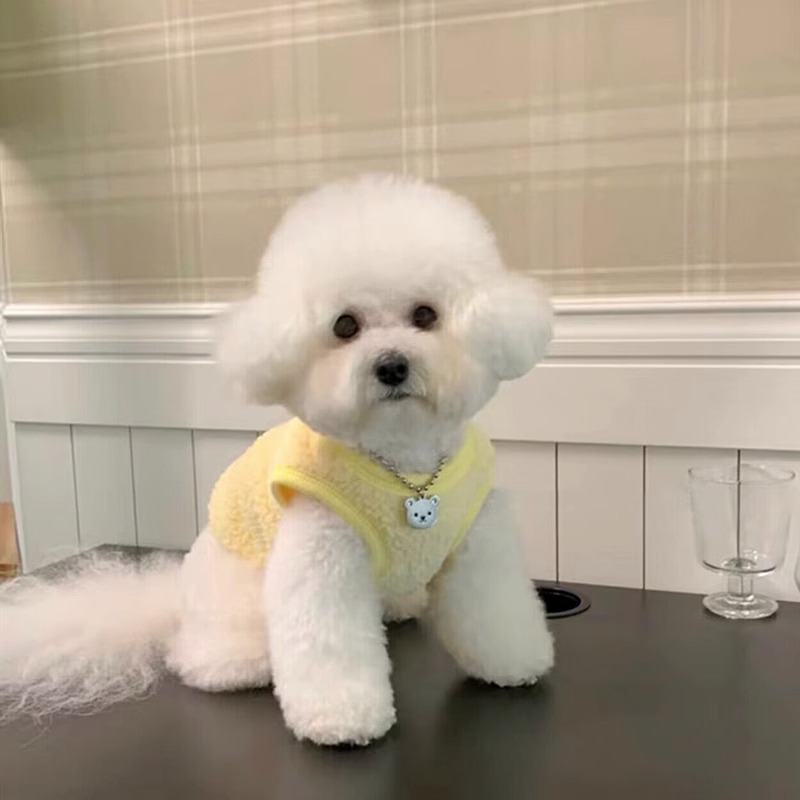 犬服 にこにこフラワー刺繍もこもこボアトレーナー