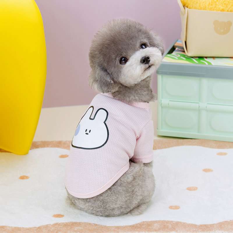 犬服  もふもふワンちゃん用うさぎ柄Tシャツ