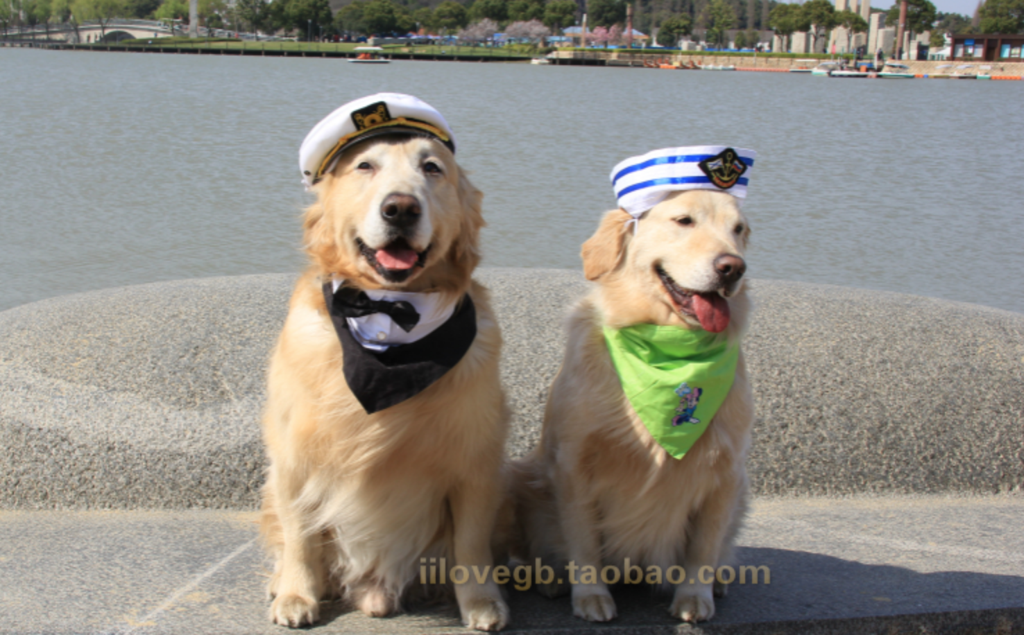 犬服 大型犬用三角巾バンダナ帽子付き変身セット