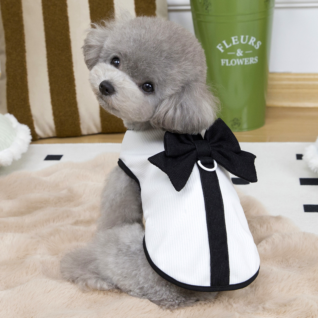 https://fulmo-img-server.com/perry-dog/b3744a93-91fa-49f9-bd65-116e11cb5fd2.jpg