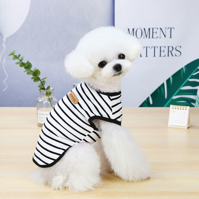 https://fulmo-img-server.com/perry-dog/b375d569-ebc5-4631-b6db-1dceea6e46fb.jpg