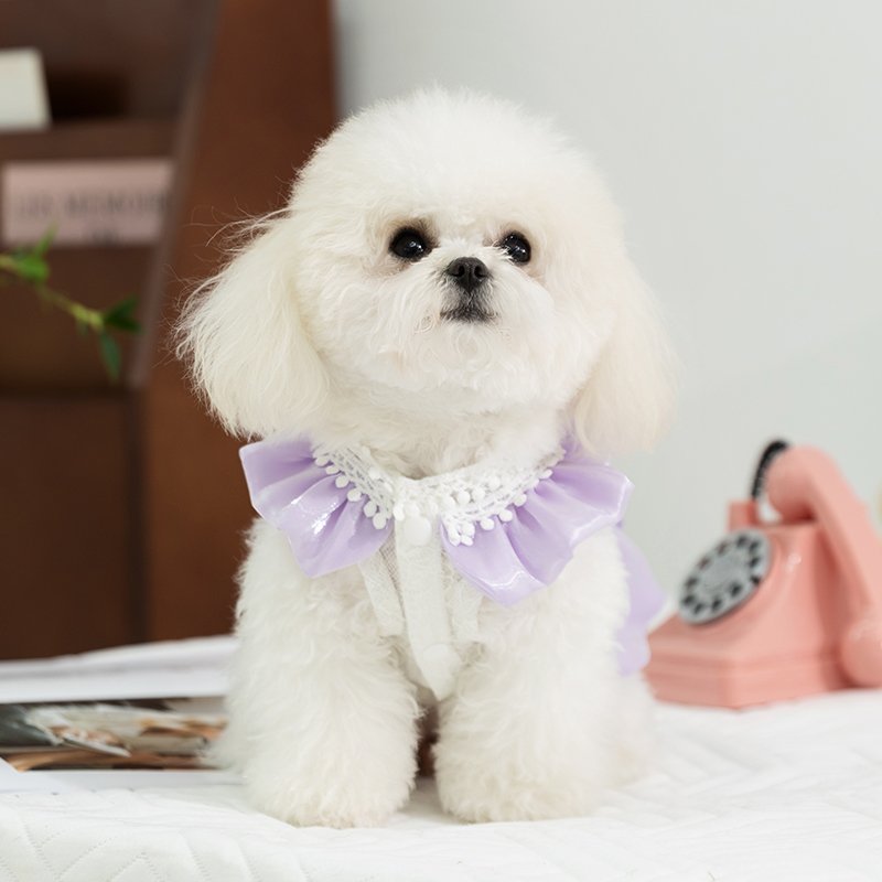 犬服 姫リボンパーティードレス