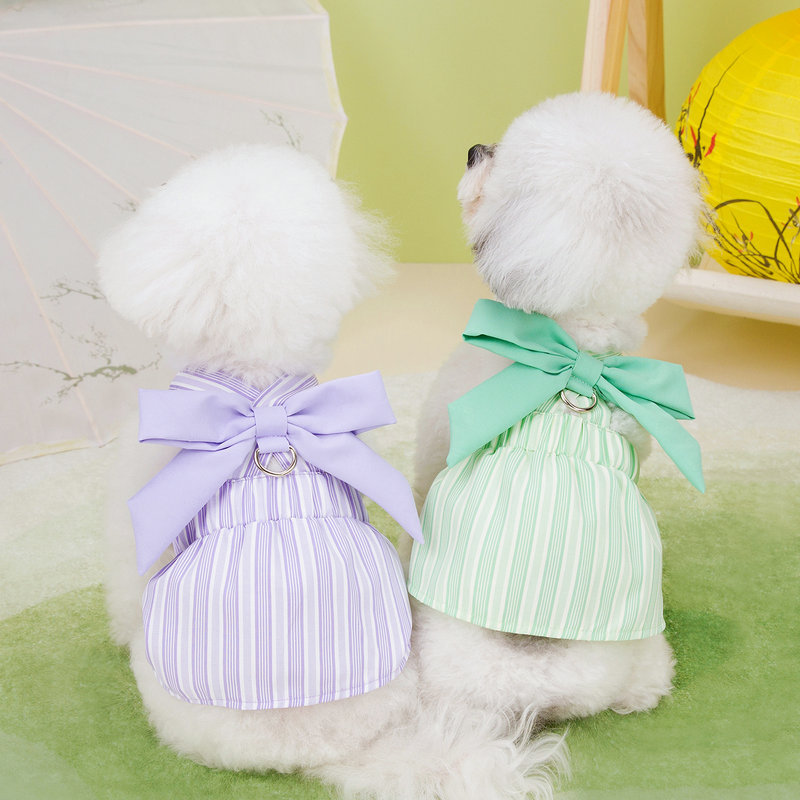 https://fulmo-img-server.com/perry-dog/b4236d51-1e98-4ef4-b090-b3bed7b4c109.jpg