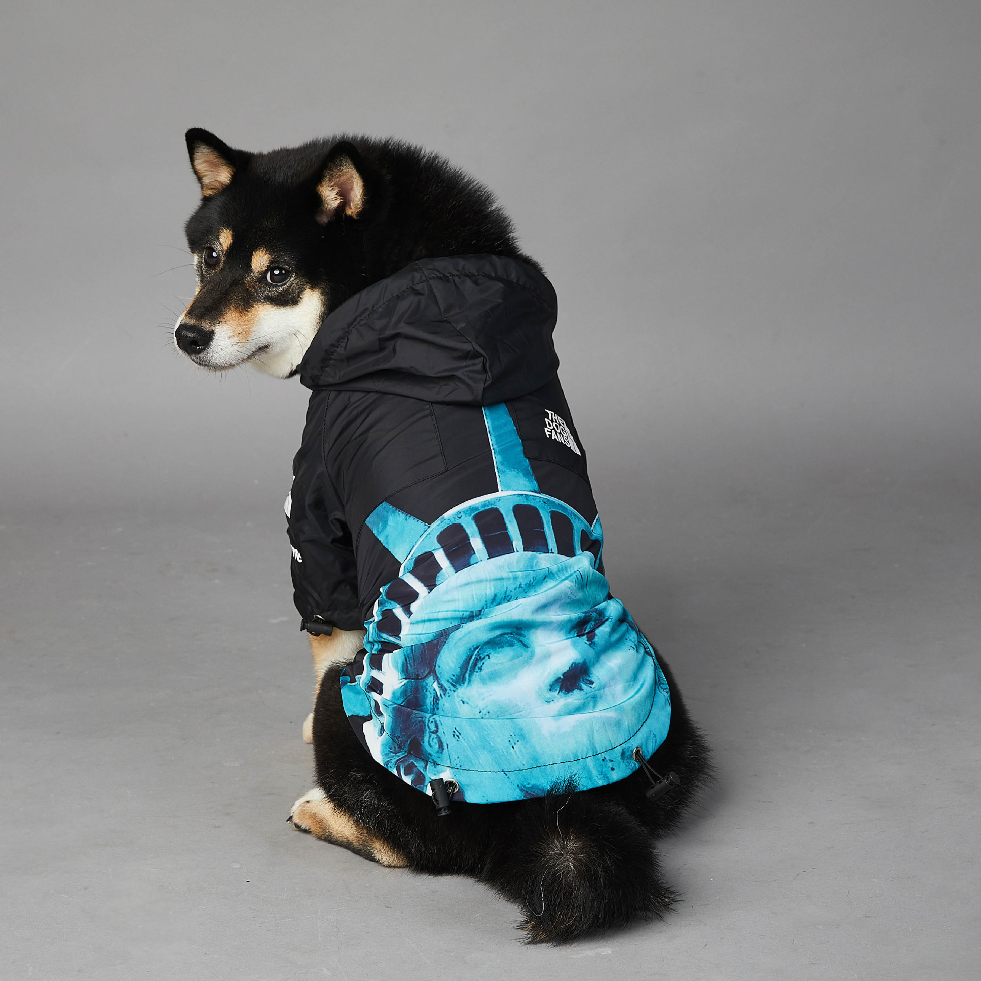 犬服 自由の女神プリント フード付き犬用レインコート