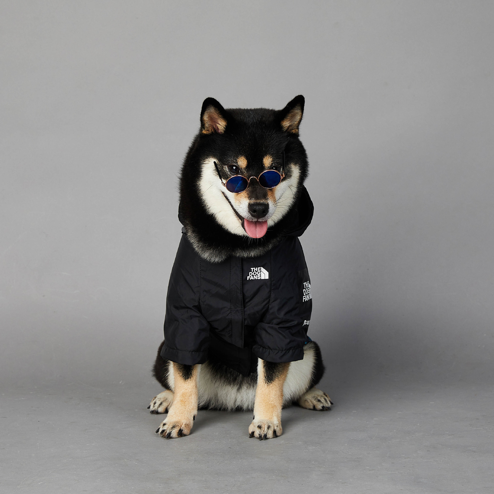 https://fulmo-img-server.com/perry-dog/b48d490c-6b8f-4e97-81eb-920d8e9f7350.jpg