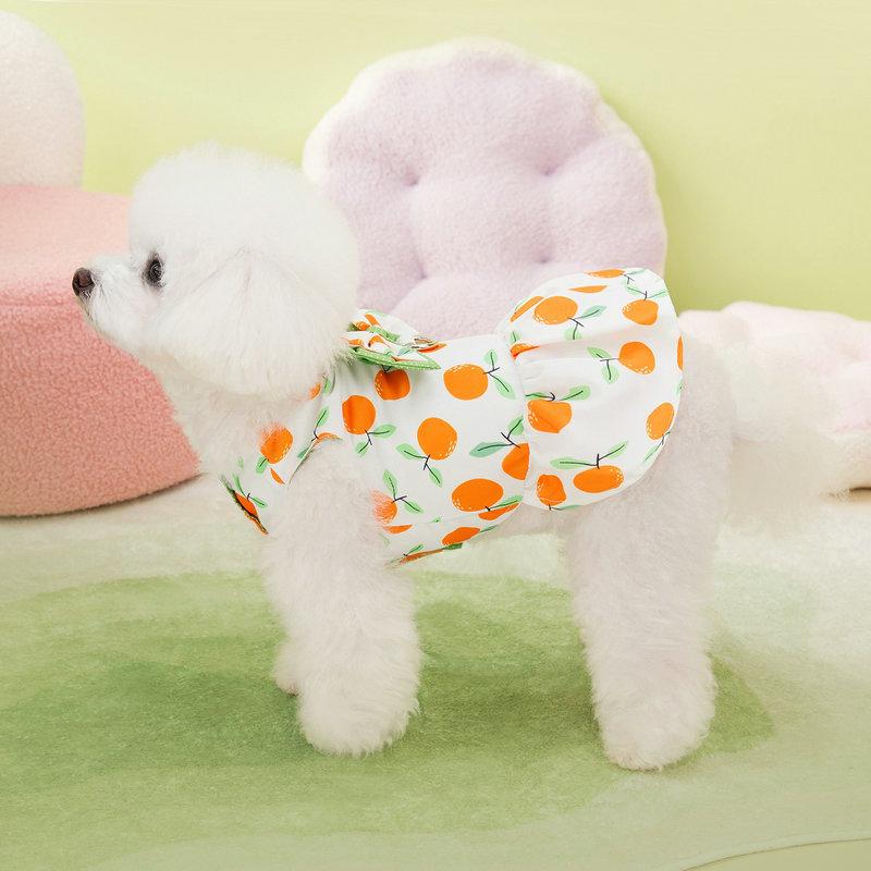 https://fulmo-img-server.com/perry-dog/b4a7683e-b462-41f7-b2e3-59885b838f6a.jpg