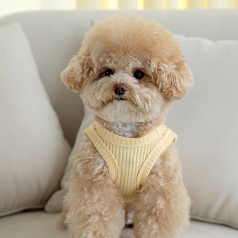 犬服 やわらか肌触りニットベスト