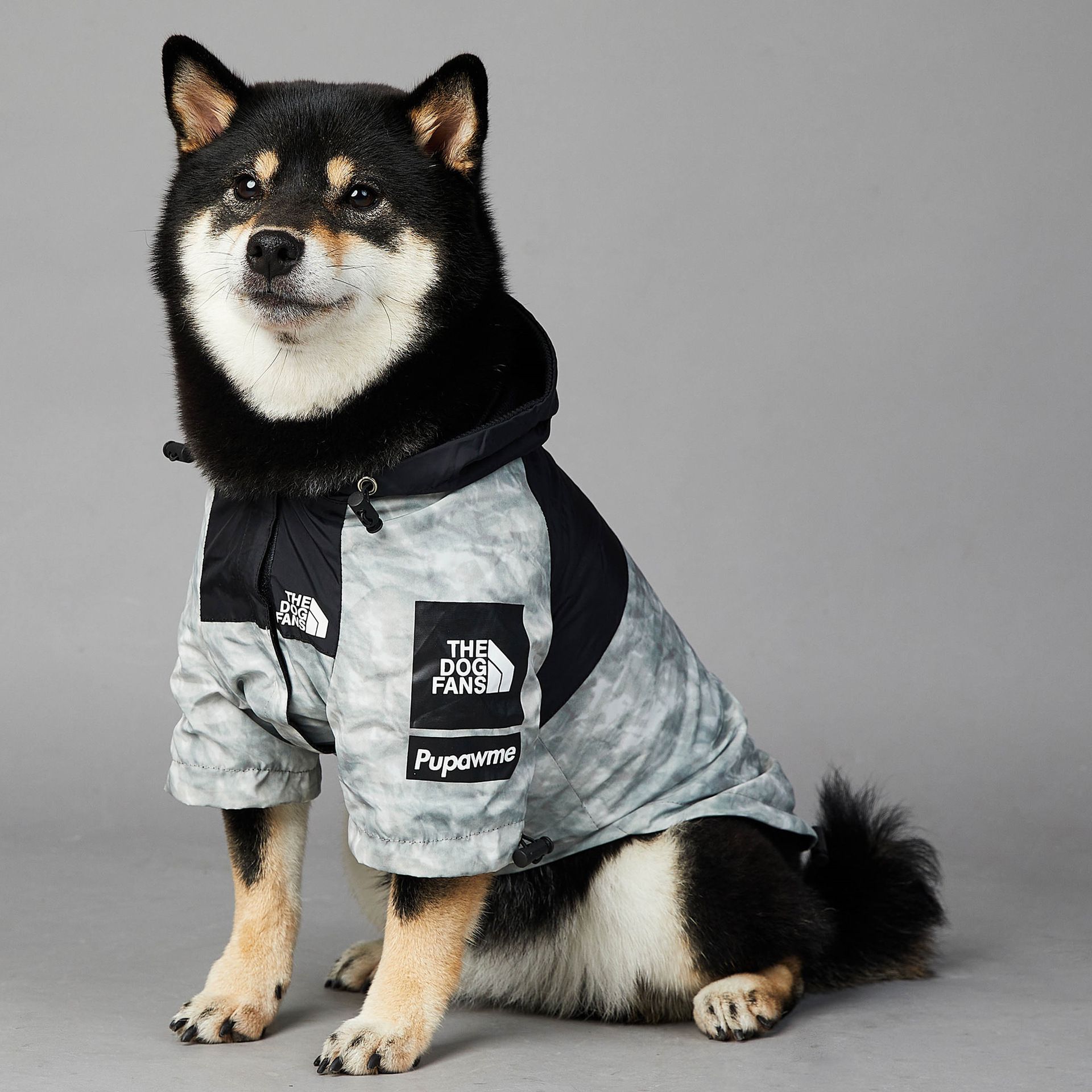 https://fulmo-img-server.com/perry-dog/b603a186-79c8-4873-85a7-8bdb2a4414b8.jpg