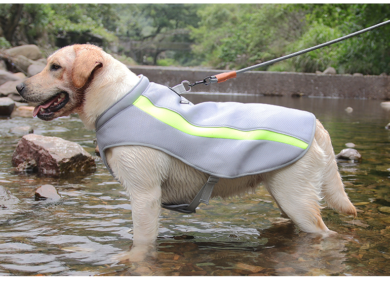 犬服 ひんやり涼感アウトドアベスト